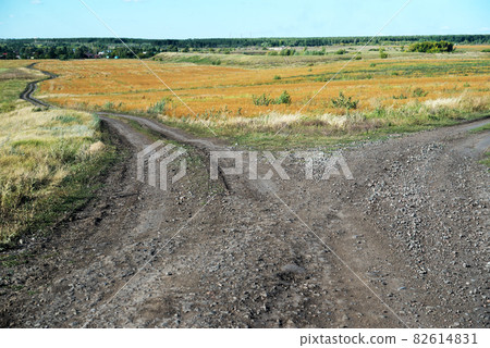 Fork roads Fork roads 82614831