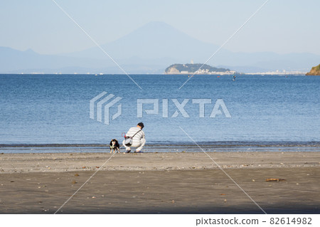 湘南三浦半島逗子市和葉山市之海（秋季） 82614982