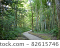 走在山路上 82615746