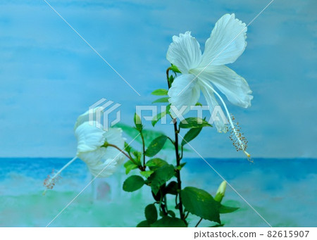 Memories of the South Pacific 82615907