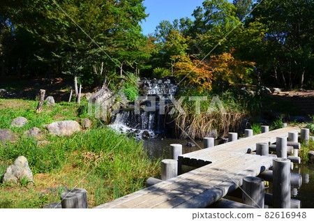 Landscape at the waterside 82616948