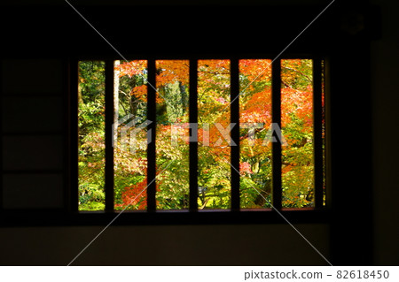 Autumn leaves seen from the lattice window of the house 82618450