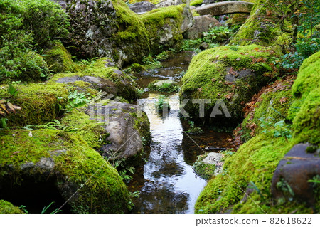 Mossy stones and murmuring in the Japanese garden of Natadera Mossy stones and murmuring in the Japanese garden of Natadera 82618622