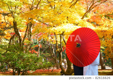 秋天在兼六園舉行的和服寫真婚禮 秋天在兼六園舉行的和服寫真婚禮 82618826