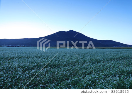 Soba field that grows at the foot of Mt. Tsukuba in the early morning Soba field that grows at the foot of Mt. Tsukuba in the early morning 82618925