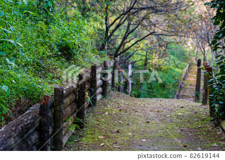 秋季徒步路線 多摩森林科學園 82619144
