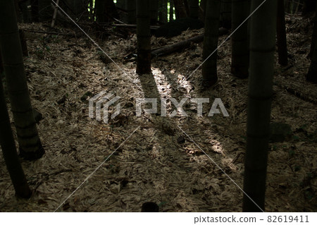 Tottori four seasons walk autumn Kurayoshi abandoned railway trace Tottori four seasons walk autumn Kurayoshi abandoned railway trace 82619411