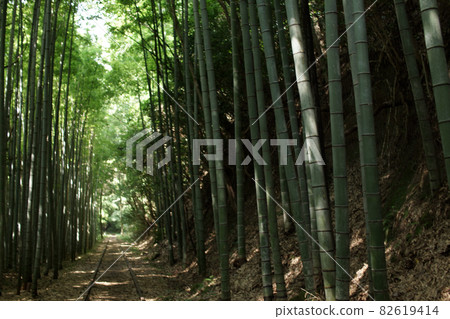 Tottori four seasons walk autumn Kurayoshi abandoned railway trace Tottori four seasons walk autumn Kurayoshi abandoned railway trace 82619414