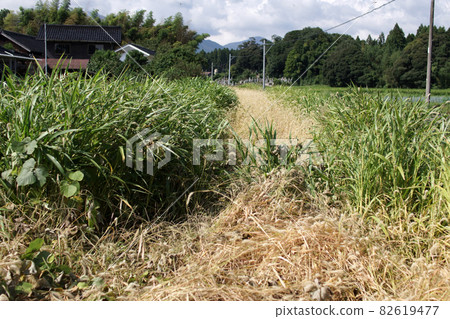 鳥取四季漫步秋倉吉廢棄鐵道痕跡 鳥取四季漫步秋倉吉廢棄鐵道痕跡 82619477