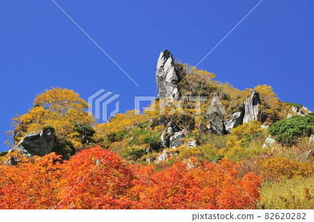 中央阿爾卑斯山的秋葉 中央阿爾卑斯山的秋葉 82620282