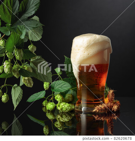 The frozen glass of beer with hops and barley. 82620678