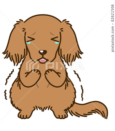 Frightened dachshund (red) 82621506