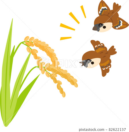 麻雀飛到稻穗上 麻雀飛到稻穗上 82622137