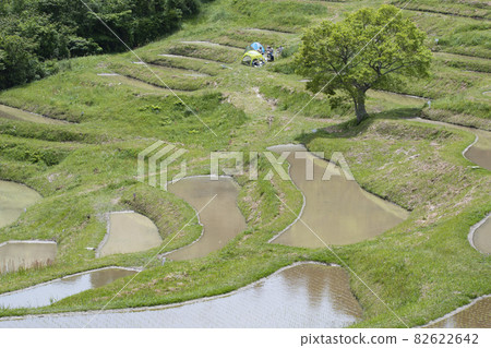A spectacular view of the charming rice terraces A spectacular view of the charming rice terraces 82622642