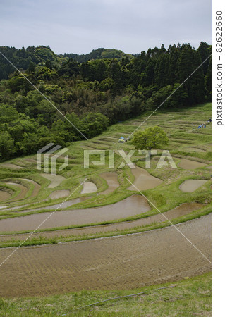 A spectacular view of the charming rice terraces 82622660