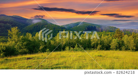 forest on the grassy meadow in the forenoon. beautiful rural landscape in summer. mist spreads from the distant mountains above the treetops beneath a wonderful sky with clouds forest on the grassy meadow in the forenoon. beautiful rural landscape in summer. mist spreads from the distant mountains above the treetops beneath a wonderful sky with clouds 82624218