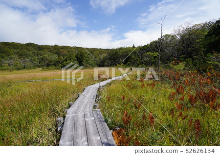 初秋的群馬縣沼田市多摩原沼澤 初秋的群馬縣沼田市多摩原沼澤 82626134