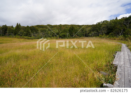 初秋的群馬縣沼田市多摩原沼澤 82626175