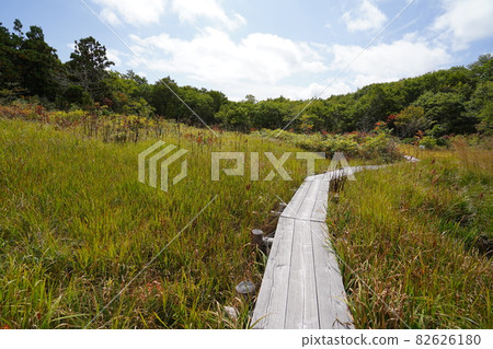 Numata City, Gunma Prefecture, Tamahara Marsh in early autumn 82626180