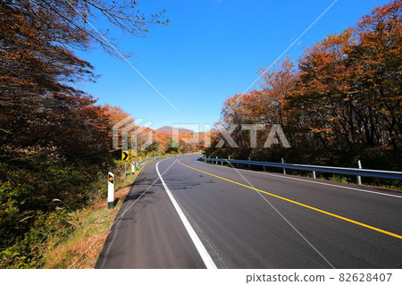Forest tunnel, Hallasan, 516 road,, maple, autumn, fallen leaves, autumn scenery, 82628407