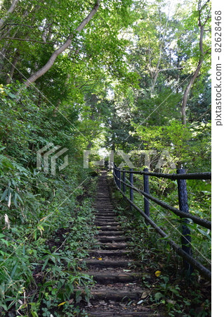 It is "Aoba no Mori Ryokuchi" in Aobayama, a natural monument in the center of Sendai city. .. It is "Aoba no Mori Ryokuchi" in Aobayama, a natural monument in the center of Sendai city. .. 82628468