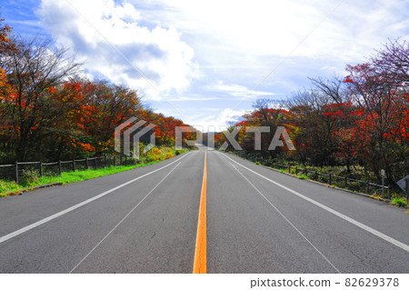 1100 Highlands, 1100 Roads, Wetlands, Autumn, Maple Leaves, Fallen Leaves, 1100 Highlands, 1100 Roads, Wetlands, Autumn, Maple Leaves, Fallen Leaves, 82629378