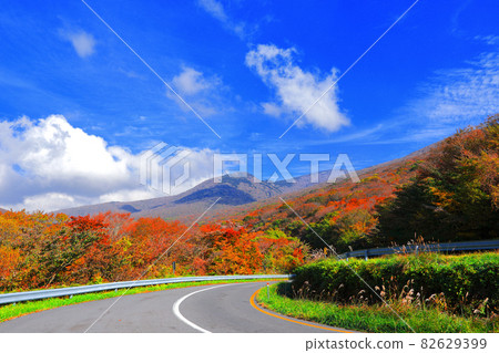 1100高地，1100路，濕地，秋天，楓葉，落葉， 82629399