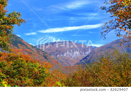 1100 Highlands, 1100 Roads, Wetlands, Autumn, Maple Leaves, Fallen Leaves, 82629407