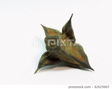 A cormorant A cormorant 82629907