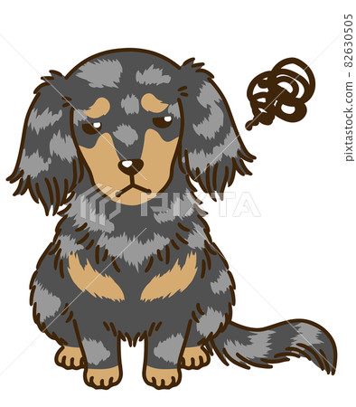 不滿意的臘腸犬（銀斑） 82630505