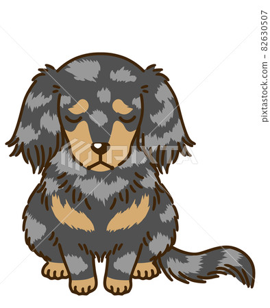 沮喪的臘腸犬(銀色斑紋) 沮喪的臘腸犬(銀色斑紋) 82630507