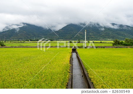 Green rice fields,white clouds, mountains in Hualien, Taiwan. Green rice fields,white clouds, mountains in Hualien, Taiwan. 82630549