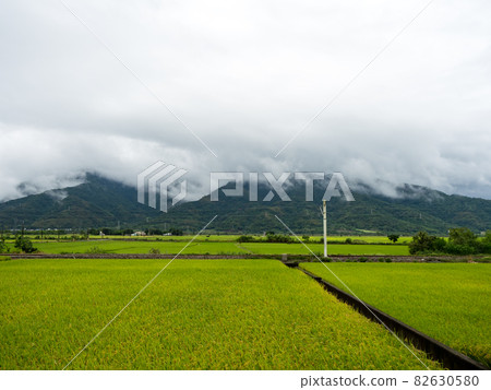 Green rice fields,white clouds, mountains in Hualien, Taiwan. 82630580