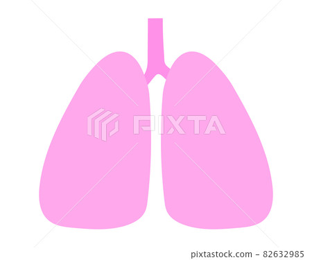 A simple illustration of a healthy lung that can be used for anything. 82632985