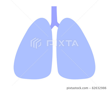 An illustration of an unhealthy lung that can be used for anything. An illustration of an unhealthy lung that can be used for anything. 82632986