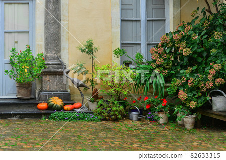 Front door decorated with autumn flowers, pumpkins Front door decorated with autumn flowers, pumpkins 82633315