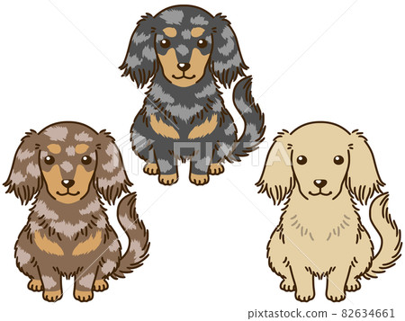 Dachshund with various coat colors Dachshund with various coat colors 82634661
