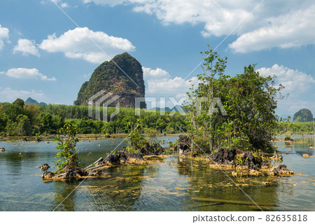 Klong root lake and Limestone rock, Krabi Klong root lake and Limestone rock, Krabi 82635818