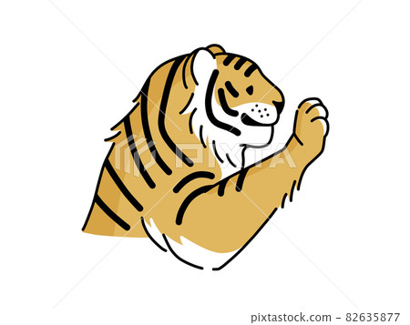 老虎的前腿 老虎的前腿 82635877