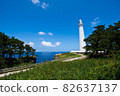 日光燈塔 82637137