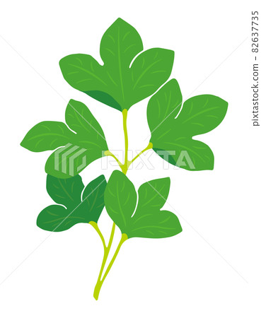 Illustration of longevity grass (Sakuna) 82637735