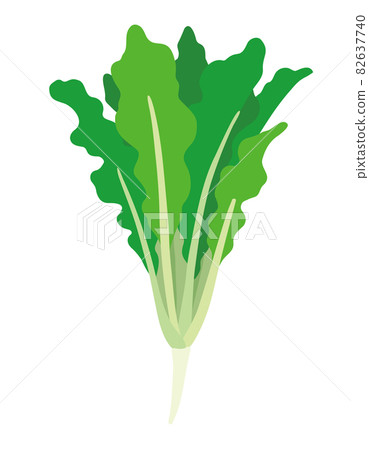 根莖類蔬菜的插圖 根莖類蔬菜的插圖 82637740
