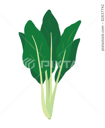 Illustration of bittersweet (nigana) 82637742