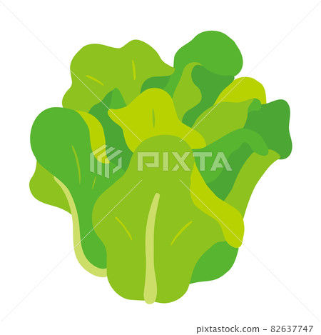 Illustration of salad vegetables 82637747