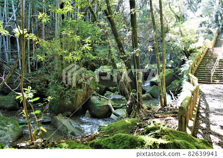 Promenade and stream 82639941