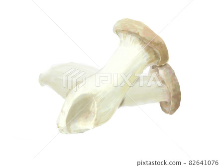 2 king trumpet 2 king trumpet 82641076