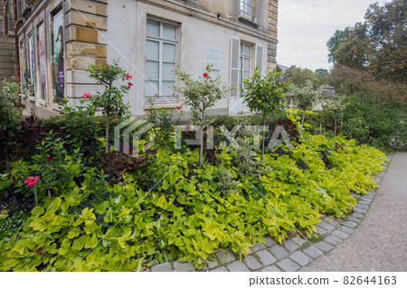 Amazing mixboarder in Garden of Plants in Paris in autumn. Orange and yellow colors of autumn - perennials in Garden of plants Amazing mixboarder in Garden of Plants in Paris in autumn. Orange and yellow colors of autumn - perennials in Garden of plants 82644163