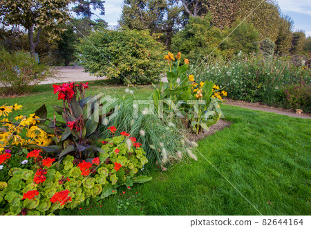 Amazing mixboarder in Garden of Plants in Paris in autumn. Orange and yellow colors of autumn - perennials in Garden of plants Amazing mixboarder in Garden of Plants in Paris in autumn. Orange and yellow colors of autumn - perennials in Garden of plants 82644164