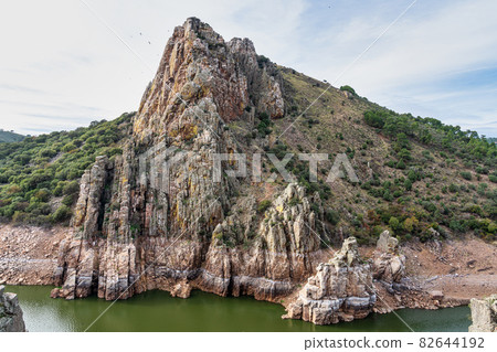 Griffon vultures, Gyps fulvus in Monfrague National Park. Extremadura, Spain 82644192