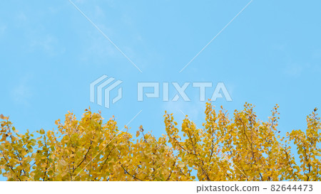 Autumn Foliage on a Blue Sky Background. Autumn Foliage on a Blue Sky Background. 82644473
